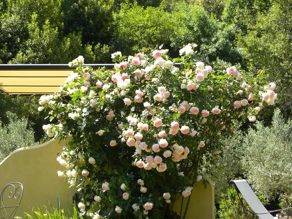 Bed and Breakfast La Bergerie Le Plan-de-la-Tour Francia