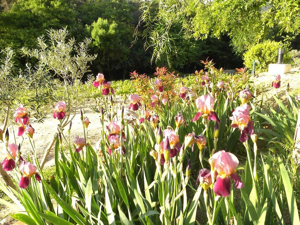 Bed and Breakfast La Bergerie Le Plan-de-la-Tour 0*,